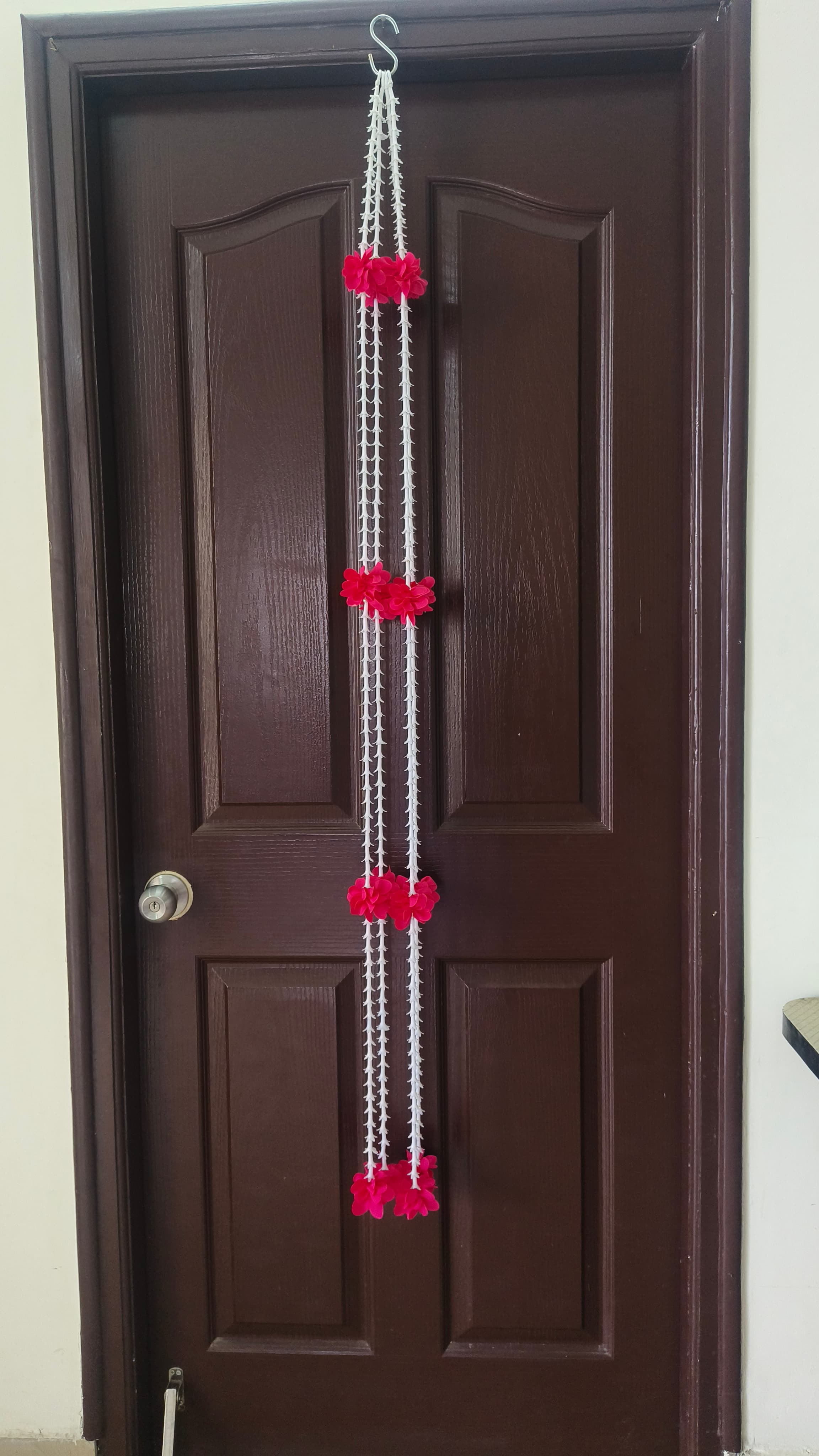 Lilly Strings
